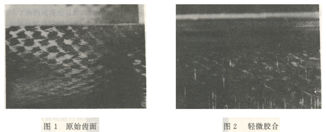 齒面損傷形式及膠合失效載荷級的判定